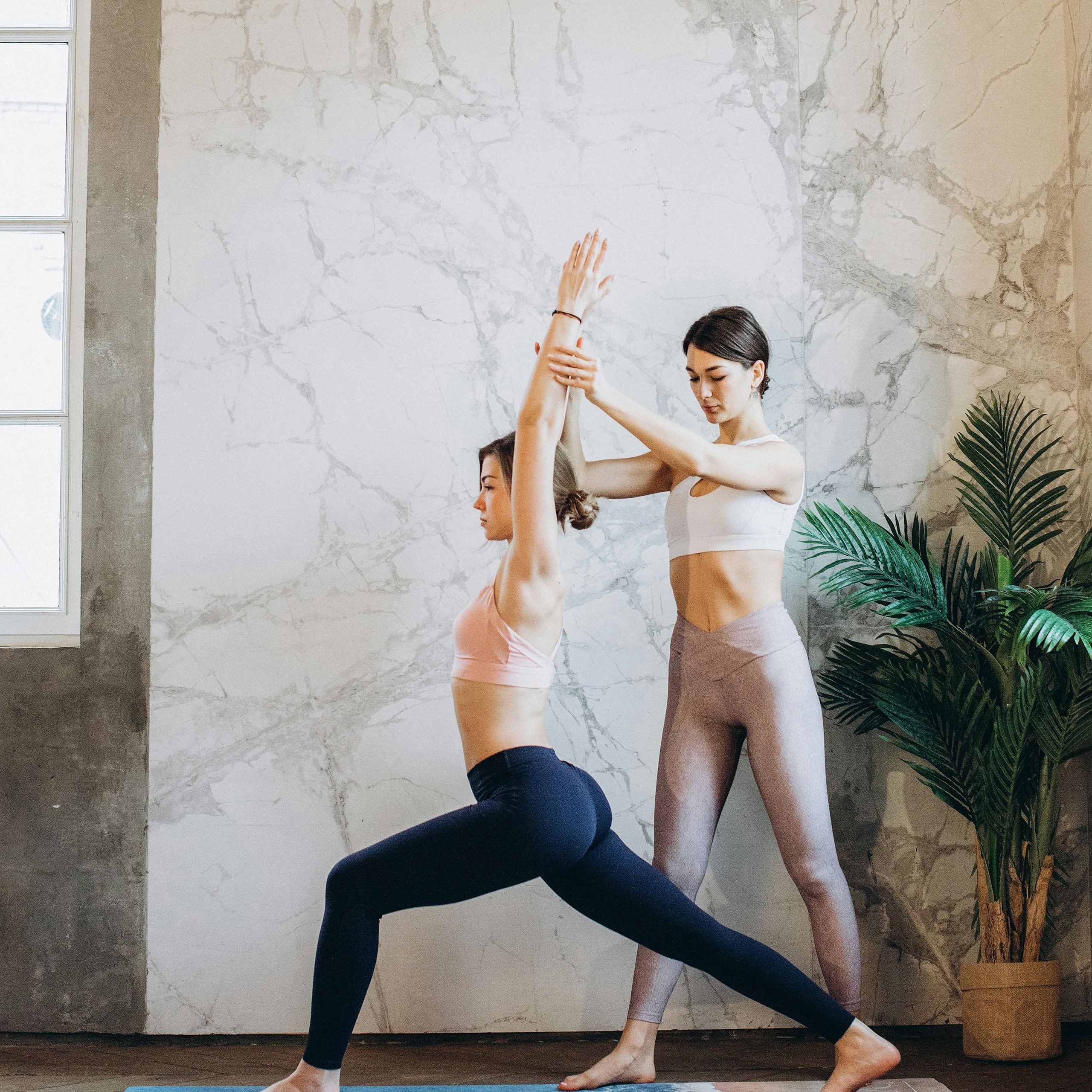 pexels elly fairytale 3822691